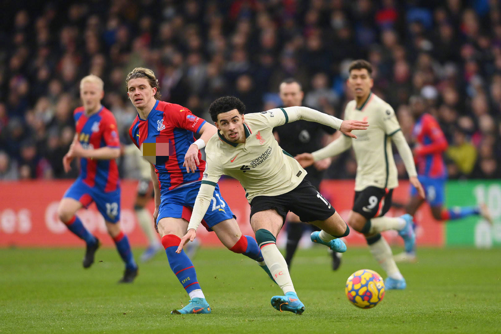 事增添了新 事增添了新